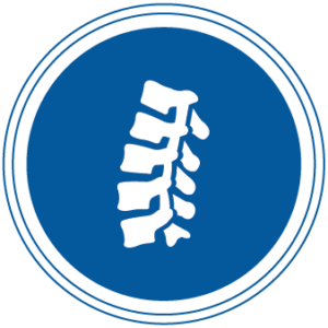 Spine Icon